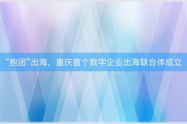“抱团”出海，重庆首个数字企业出海联合体成立