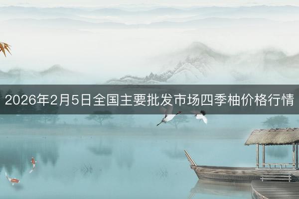 2026年2月5日全国主要批发市场四季柚价格行情