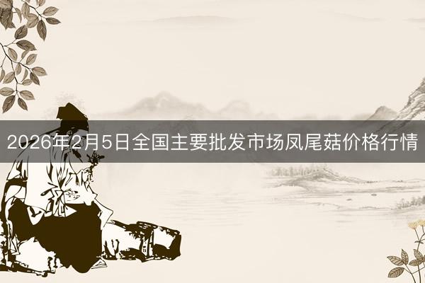 2026年2月5日全国主要批发市场凤尾菇价格行情