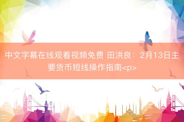 中文字幕在线观看视频免费 田洪良：2月13日主要货币短线操作指南<p>