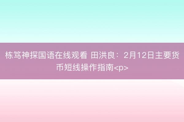 栋笃神探国语在线观看 田洪良：2月12日主要货币短线操作指南<p>