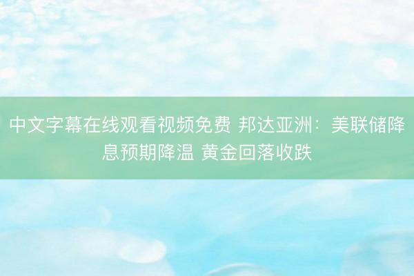 中文字幕在线观看视频免费 邦达亚洲：美联储降息预期降温 黄金回落收跌