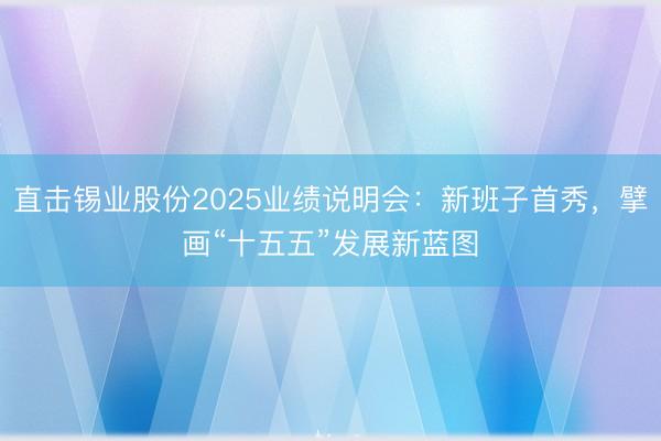 直击锡业股份2025业绩说明会：新班子首秀，擘画“十五五”发展新蓝图