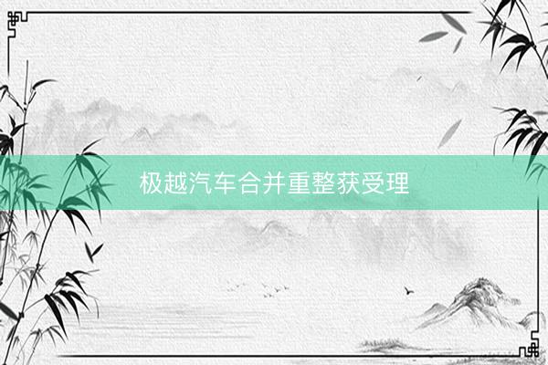 极越汽车合并重整获受理