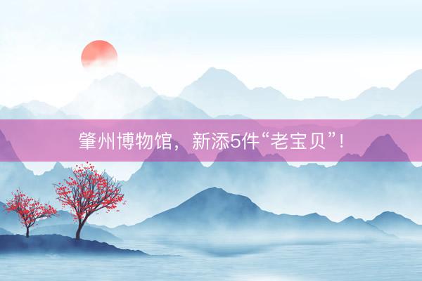肇州博物馆，新添5件“老宝贝”！