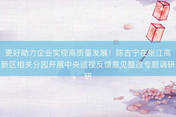 更好助力企业实现高质量发展！陈吉宁在张江高新区相关分园开展中央巡视反馈意见整改专题调研