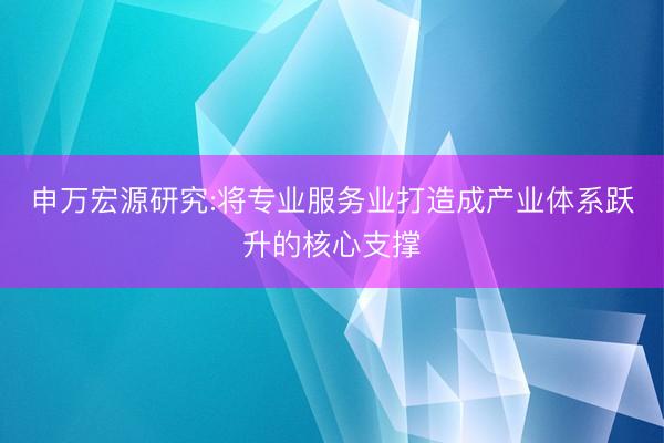 申万宏源研究:将专业服务业打造成产业体系跃升的核心支撑
