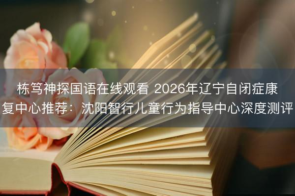 栋笃神探国语在线观看 2026年辽宁自闭症康复中心推荐：沈阳智行儿童行为指导中心深度测评