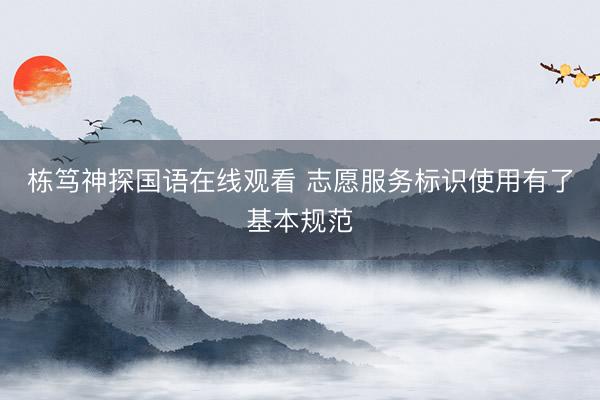 栋笃神探国语在线观看 志愿服务标识使用有了基本规范