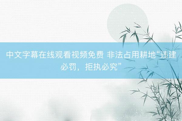 中文字幕在线观看视频免费 非法占用耕地“违建必罚，拒执必究”