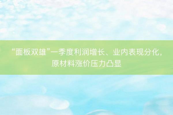 “面板双雄”一季度利润增长、业内表现分化，原材料涨价压力凸显