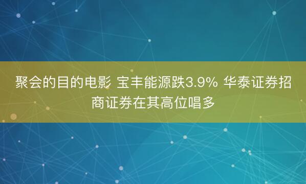聚会的目的电影 宝丰能源跌3.9% 华泰证券招商证券在其高位唱多