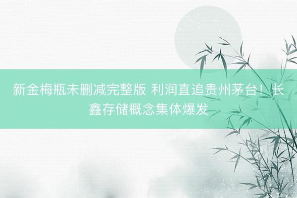新金梅瓶未删减完整版 利润直追贵州茅台！长鑫存储概念集体爆发