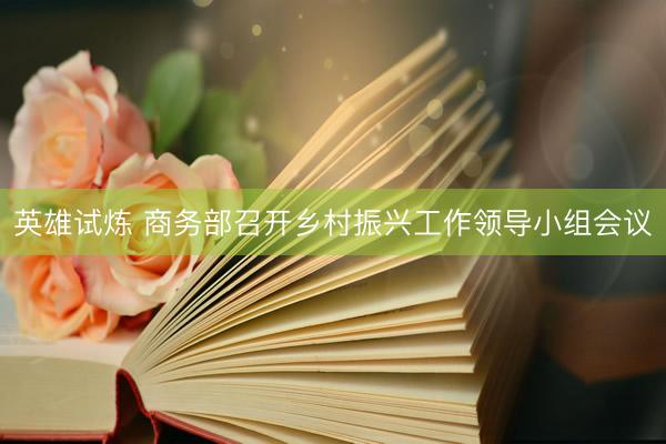 英雄试炼 商务部召开乡村振兴工作领导小组会议