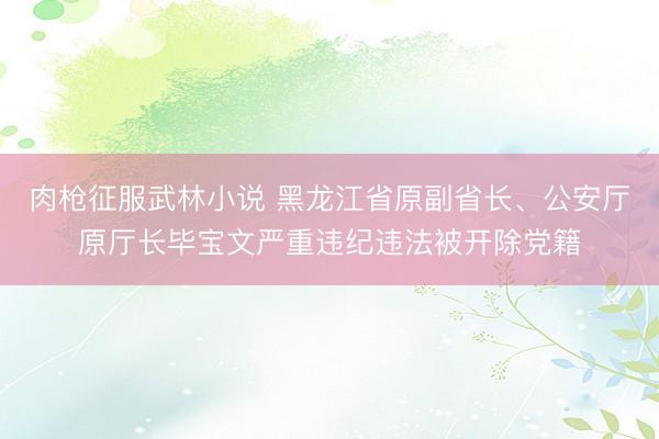 肉枪征服武林小说 黑龙江省原副省长、公安厅原厅长毕宝文严重违纪违法被开除党籍