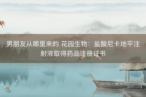 男朋友从哪里来的 花园生物：盐酸尼卡地平注射液取得药品注册证书