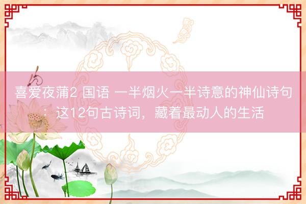 喜爱夜蒲2 国语 一半烟火一半诗意的神仙诗句：这12句古诗词，藏着最动人的生活