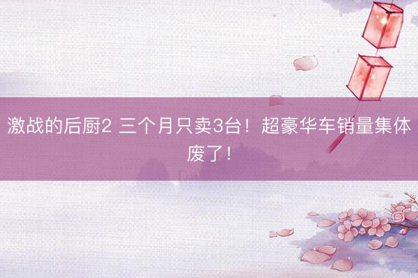 激战的后厨2 三个月只卖3台！超豪华车销量集体废了！