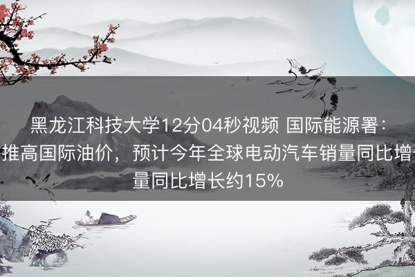 黑龙江科技大学12分04秒视频 国际能源署:伊朗战事推高国际油价,预计今年全球电动汽车销量同比增长约15%