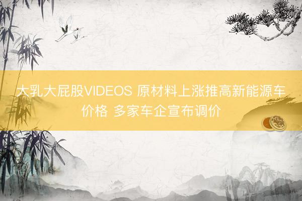 大乳大屁股VIDEOS 原材料上涨推高新能源车价格 多家车企宣布调价
