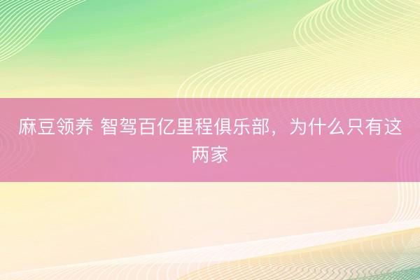 麻豆领养 智驾百亿里程俱乐部，为什么只有这两家
