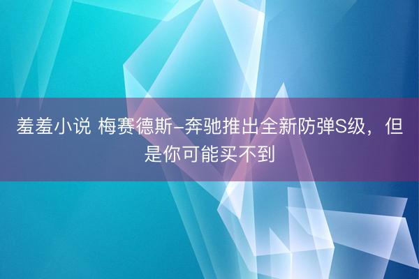 羞羞小说 梅赛德斯-奔驰推出全新防弹S级，但是你可能买不到