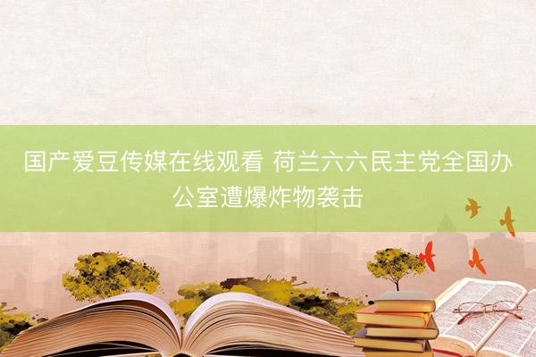 国产爱豆传媒在线观看 荷兰六六民主党全国办公室遭爆炸物袭击
