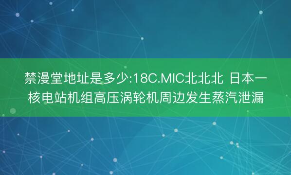 禁漫堂地址是多少:18C.MIC北北北 日本一核电站机组高压涡轮机周边发生蒸汽泄漏