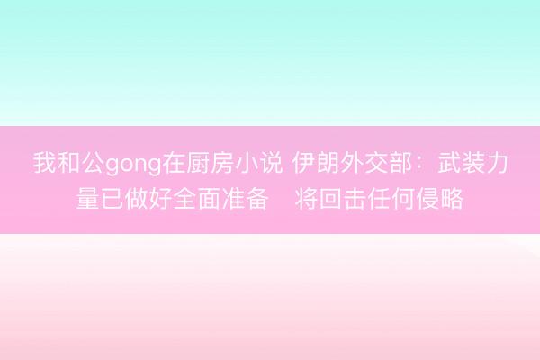 我和公gong在厨房小说 伊朗外交部：武装力量已做好全面准备　将回击任何侵略