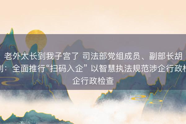 老外太长到我子宫了 司法部党组成员、副部长胡卫列：全面推行“扫码入企” 以智慧执法规范涉企行政检查