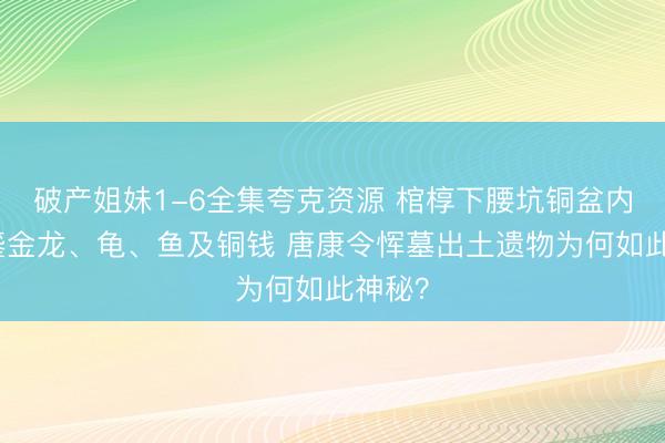破产姐妹1-6全集夸克资源 棺椁下腰坑铜盆内放置鎏金龙、龟、鱼及铜钱 唐康令恽墓出土遗物为何如此神秘？