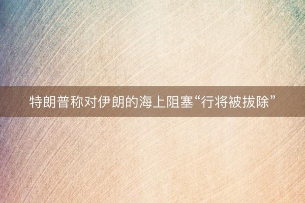 特朗普称对伊朗的海上阻塞“行将被拔除”