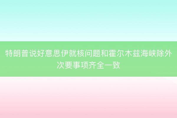 特朗普说好意思伊就核问题和霍尔木兹海峡除外次要事项齐全一致
