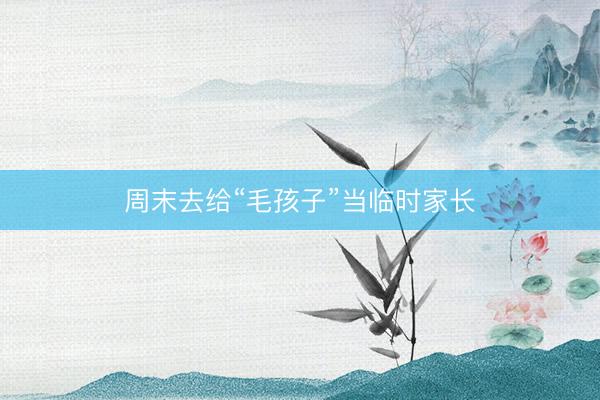 周末去给“毛孩子”当临时家长