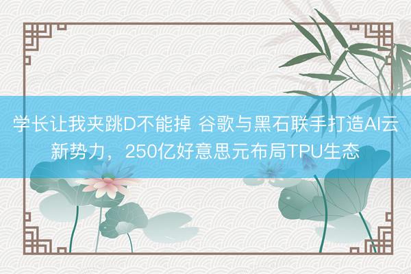学长让我夹跳D不能掉 谷歌与黑石联手打造AI云新势力，250亿好意思元布局TPU生态