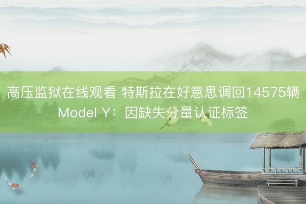 高压监狱在线观看 特斯拉在好意思调回14575辆Model Y：因缺失分量认证标签