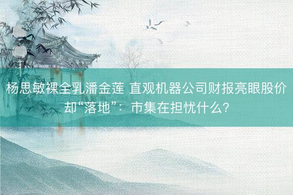 杨思敏裸全乳潘金莲 直观机器公司财报亮眼股价却“落地”:市集在担忧什么?