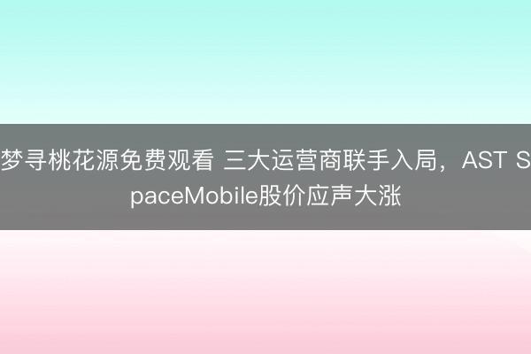梦寻桃花源免费观看 三大运营商联手入局,AST SpaceMobile股价应声大涨
