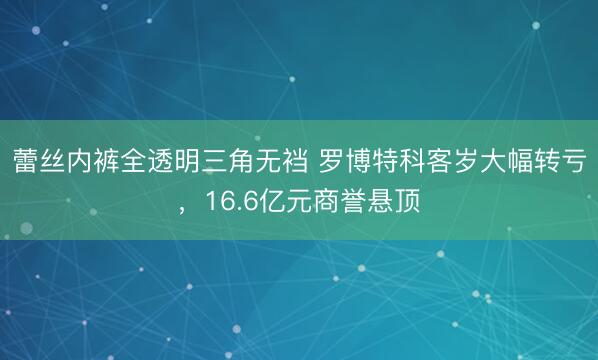 蕾丝内裤全透明三角无裆 罗博特科客岁大幅转亏，16.6亿元商誉悬顶