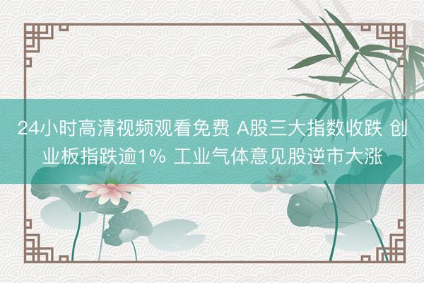 24小时高清视频观看免费 A股三大指数收跌 创业板指跌逾1% 工业气体意见股逆市大涨