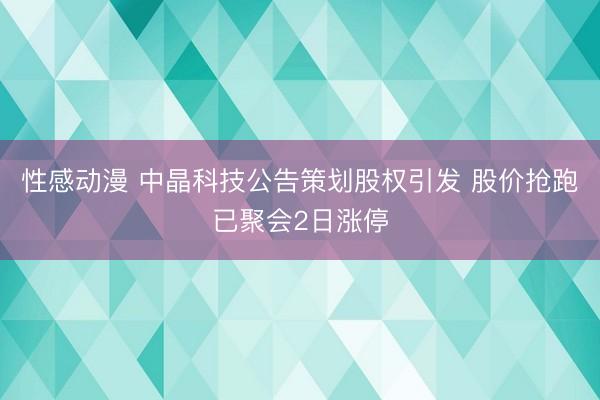 性感动漫 中晶科技公告策划股权引发 股价抢跑已聚会2日涨停