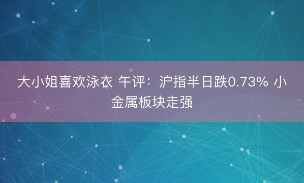 大小姐喜欢泳衣 午评：沪指半日跌0.73% 小金属板块走强