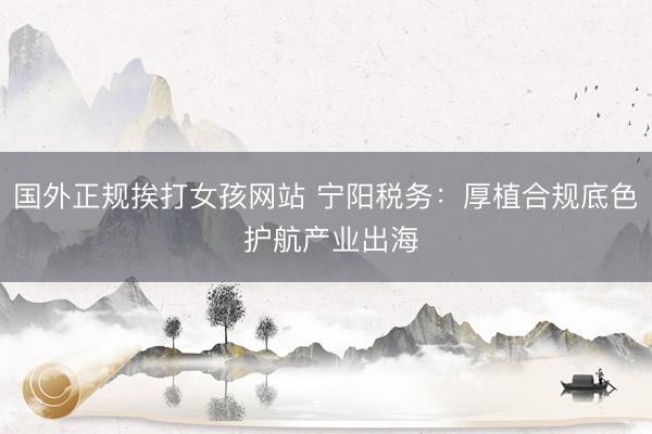 国外正规挨打女孩网站 宁阳税务：厚植合规底色 护航产业出海