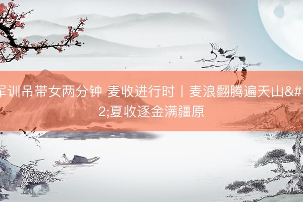 军训吊带女两分钟 麦收进行时丨麦浪翻腾遍天山 夏收逐金满疆原