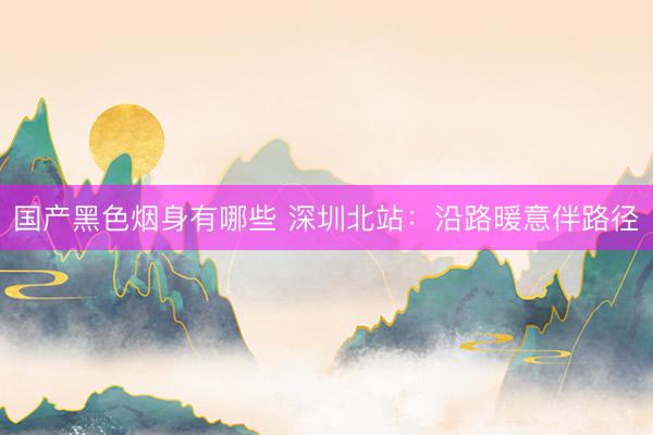 国产黑色烟身有哪些 深圳北站：沿路暖意伴路径
