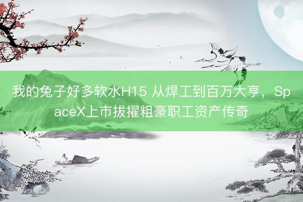 我的兔子好多软水H15 从焊工到百万大亨，SpaceX上市拔擢粗豪职工资产传奇
