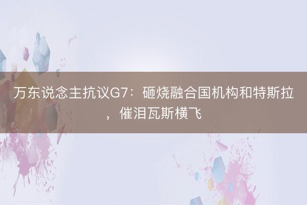 万东说念主抗议G7：砸烧融合国机构和特斯拉，催泪瓦斯横飞